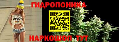 mdpv Пушкино