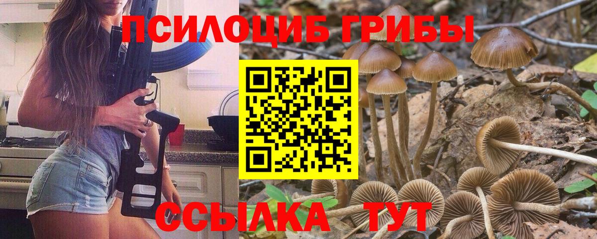 Галлюциногенные грибы мухоморы  Вход с VPN  Тихвин 